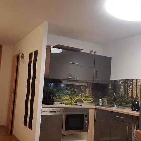 Ferienwohnung Mit Einen Schlafzimmer Mit Blick Ueber Den Bayrischen Wald Apartment Sankt Englmar