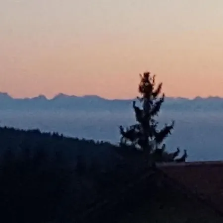 Ferienwohnung Mit Einen Schlafzimmer Mit Blick Ueber Den Bayrischen Wald Apartment Sankt Englmar