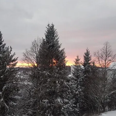 Ferienwohnung Mit Einen Schlafzimmer Mit Blick Ueber Den Bayrischen Wald Apartment Sankt Englmar